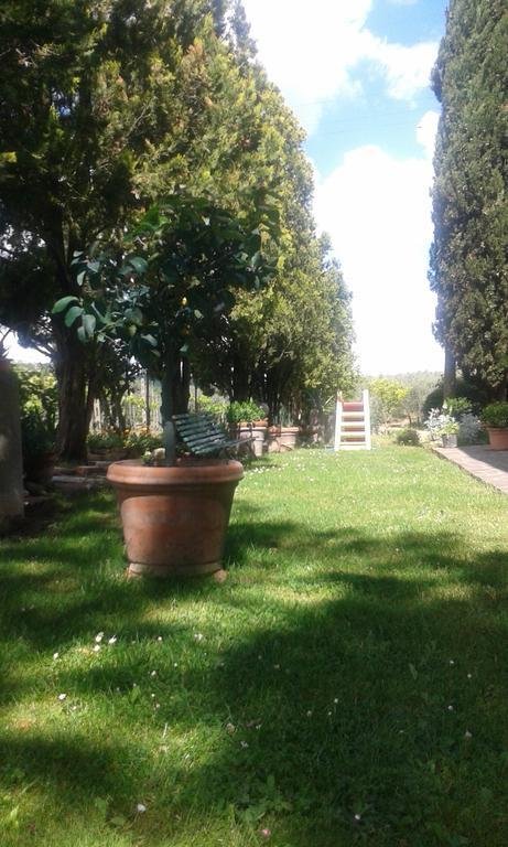La Vecchia Quercia Villa Pergine Valdarno Exteriör bild