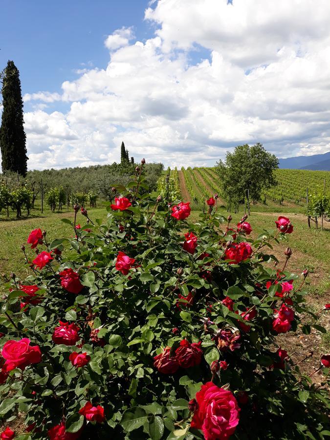 La Vecchia Quercia Villa Pergine Valdarno Exteriör bild