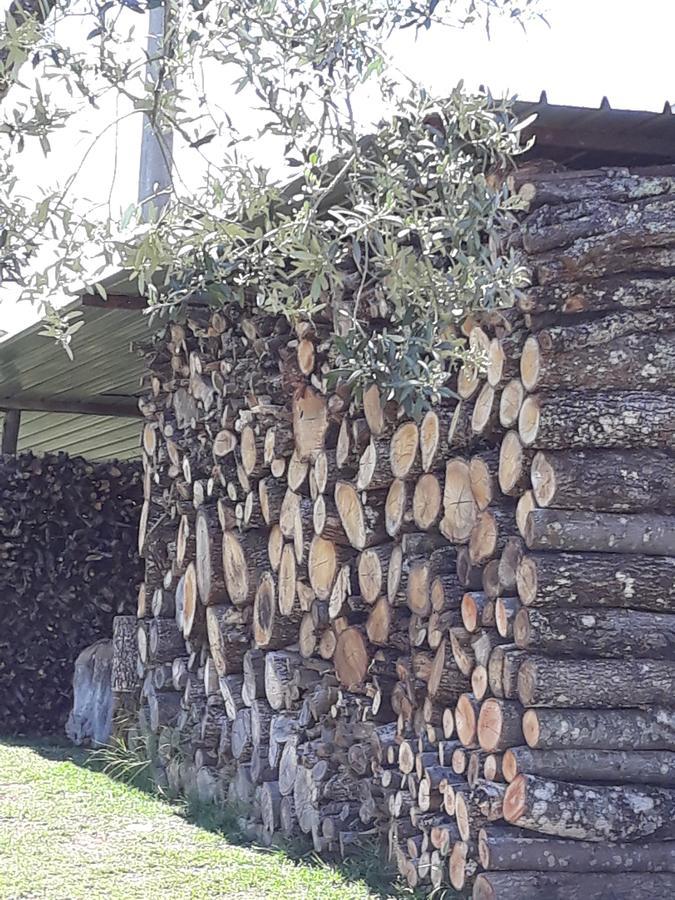 La Vecchia Quercia Villa Pergine Valdarno Exteriör bild